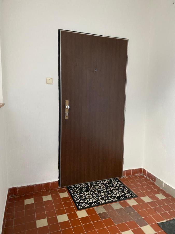 Utulny A Prostorny Podkrovni Byt S Krbovymi Kamny Ческе-Будеёвице Экстерьер фото